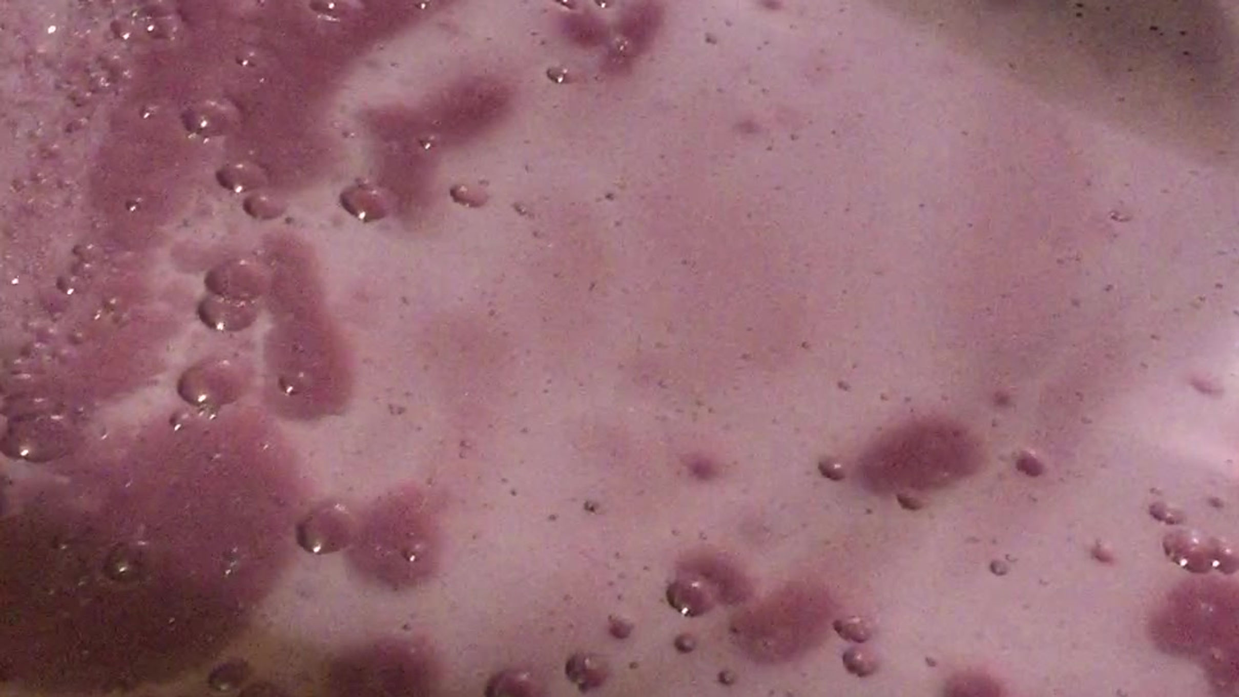 Nutrients for the yeast..
